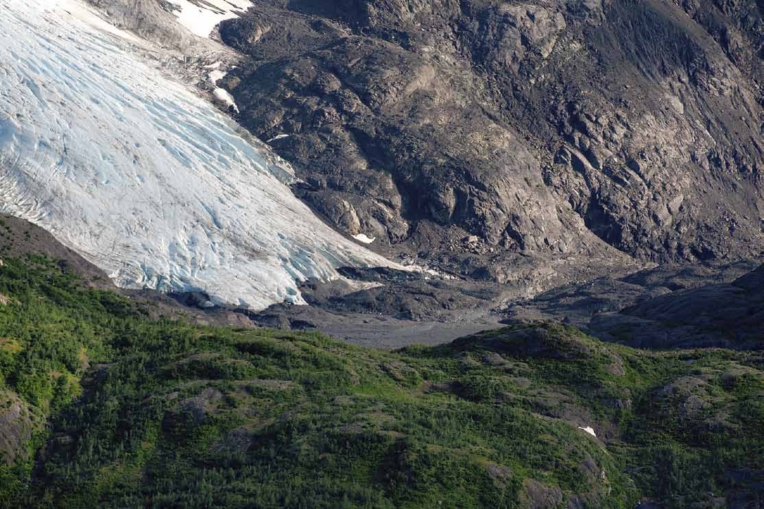 Portlock Glacier Terminus