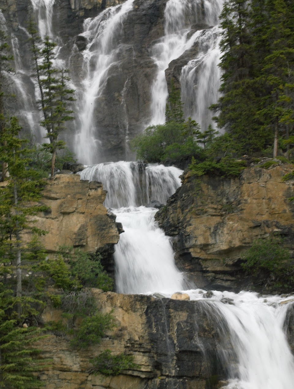 Roadside Falls on Icefields Highway, Cabadian Rockies